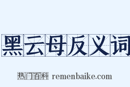 黑云母反义词是什么意思的图片